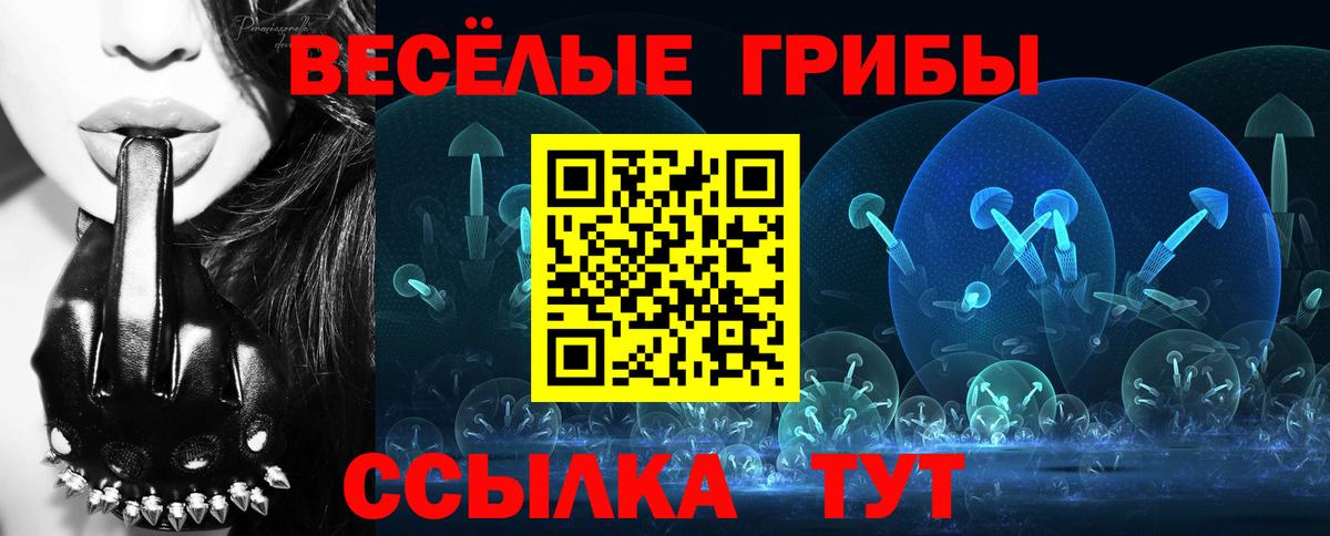 Солнечногорск  Галлюциногенные грибы GOLDEN TEACHER  Вход с VPN 